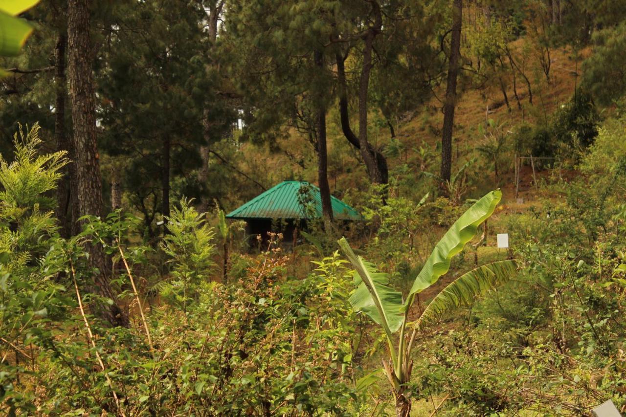 Heal Farm - Himalayan Eco Alternative Lifestyle For Agriculture Recreation And Meditation Найнитал Экстерьер фото