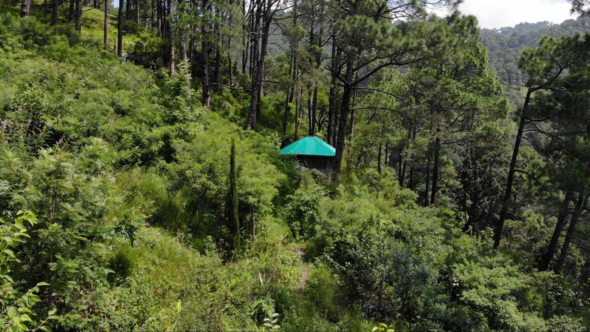 Heal Farm - Himalayan Eco Alternative Lifestyle For Agriculture Recreation And Meditation Найнитал Экстерьер фото